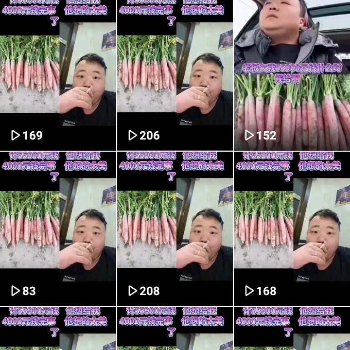 专业要30亩红罗卜钱