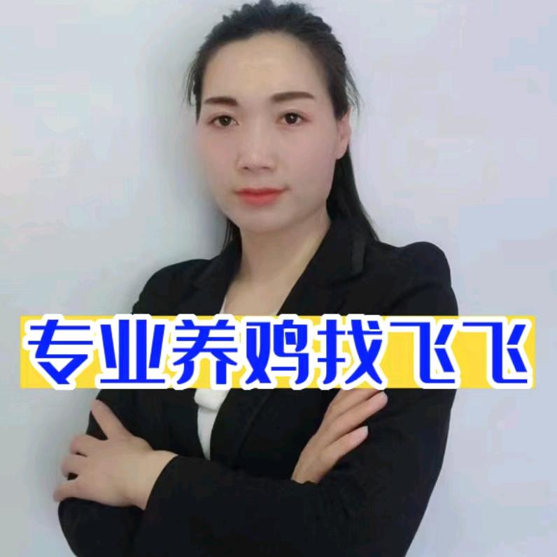 养鸡找飞飞