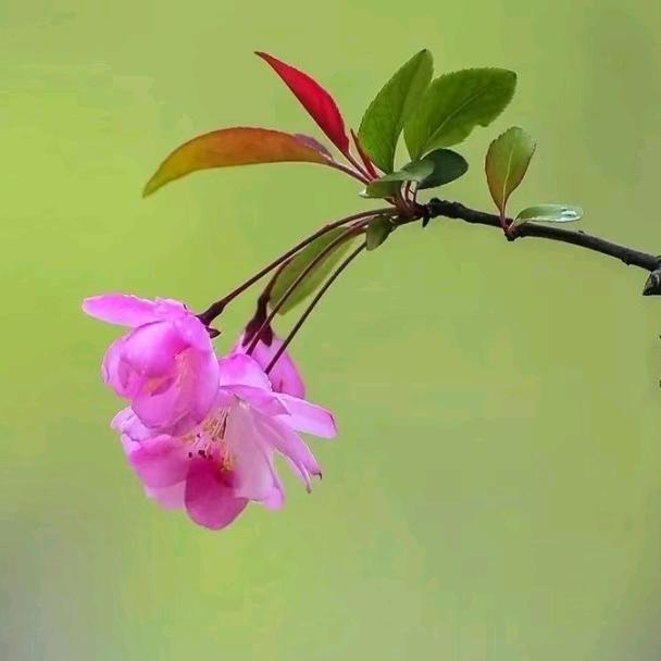 医易小生命理收徒