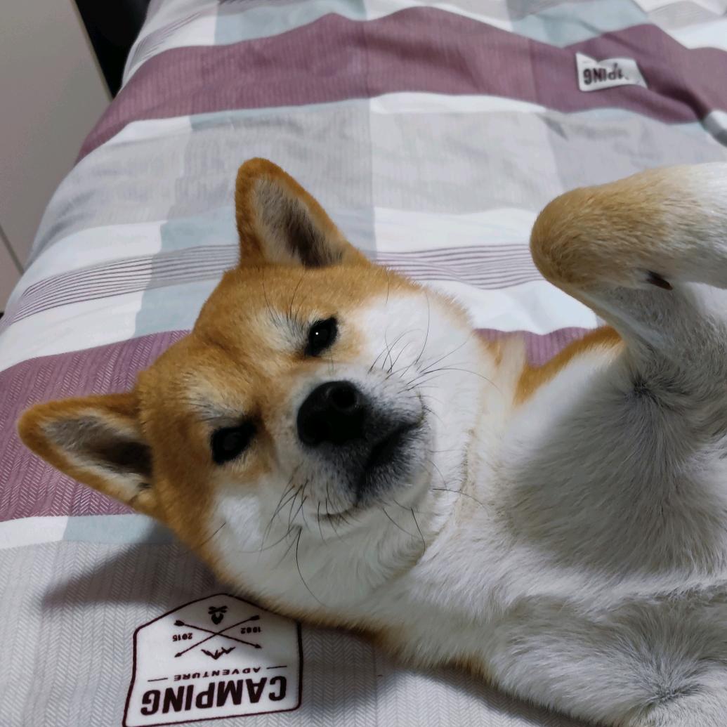 季玛