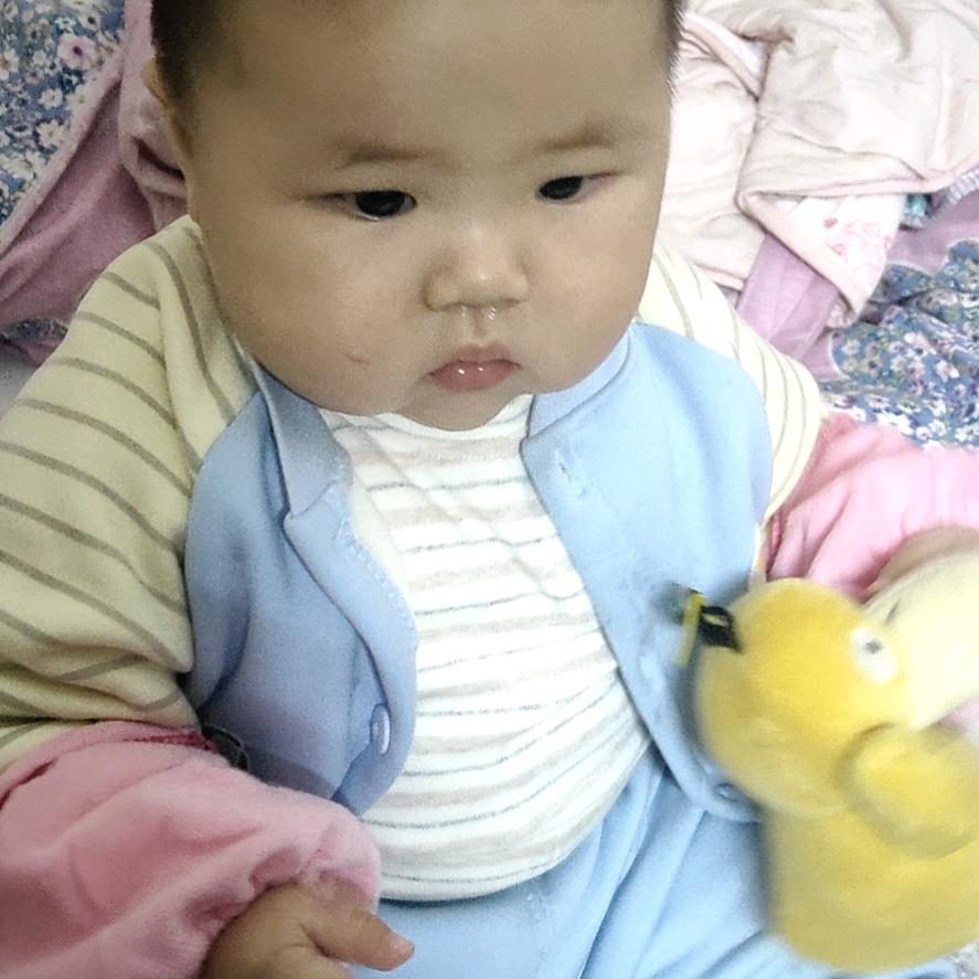 张家小哥