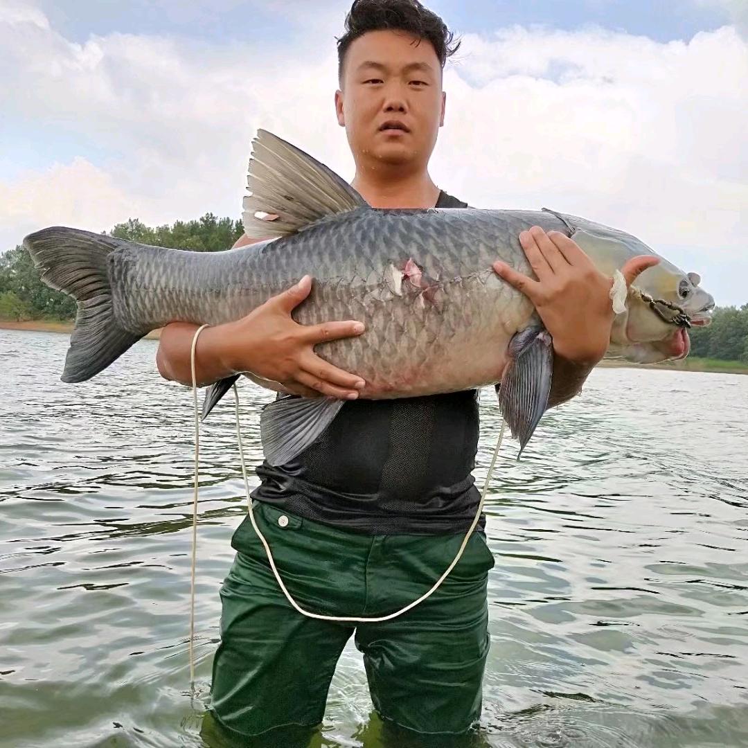 生态养殖（梁春）