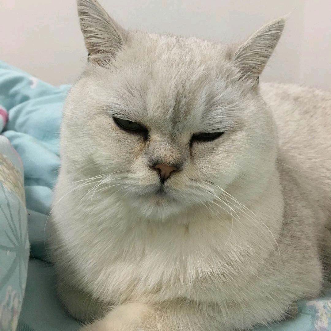 陈小洋