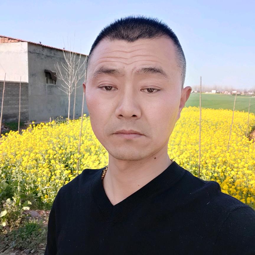 信恒农业秸秆加工纸箱回收