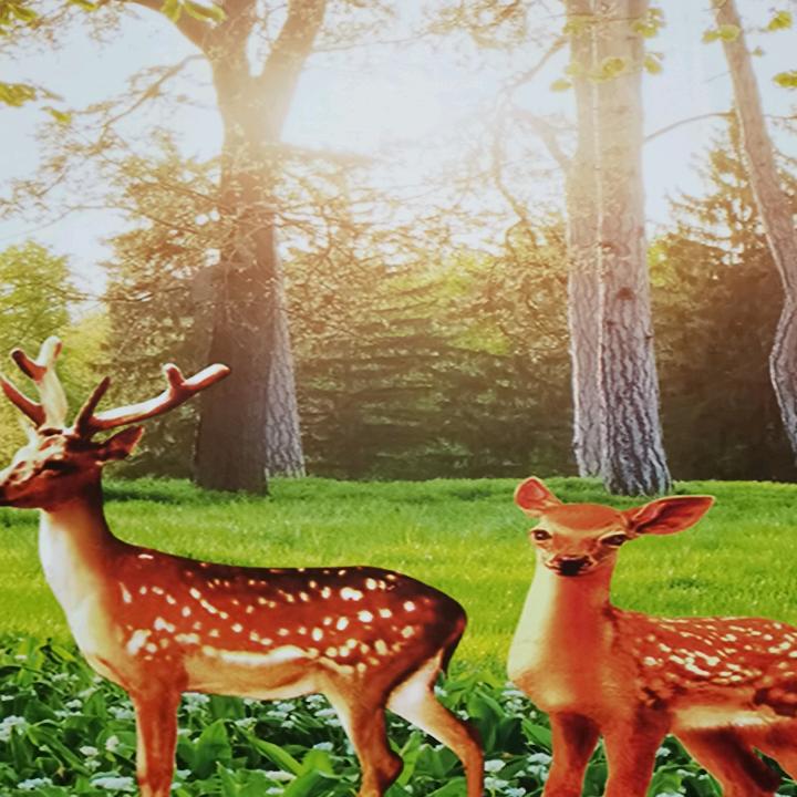 棋奶奶·对口型-娱乐❤️☕️🌹