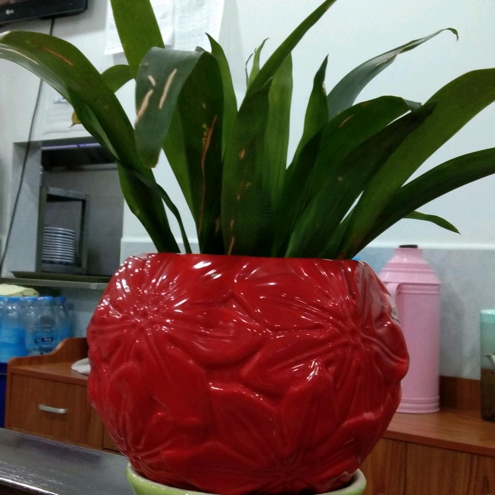 独自承受🥗🥗