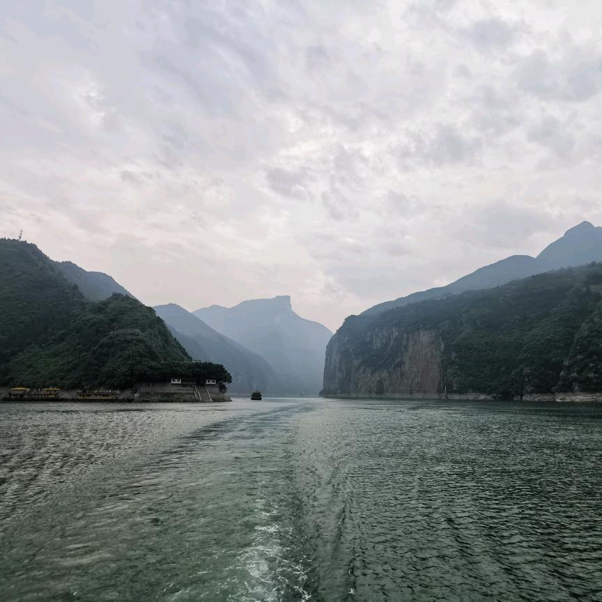 天地沙鸥