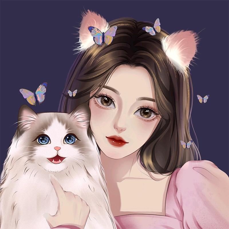 白猫探剧