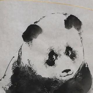 张伟写意熊猫