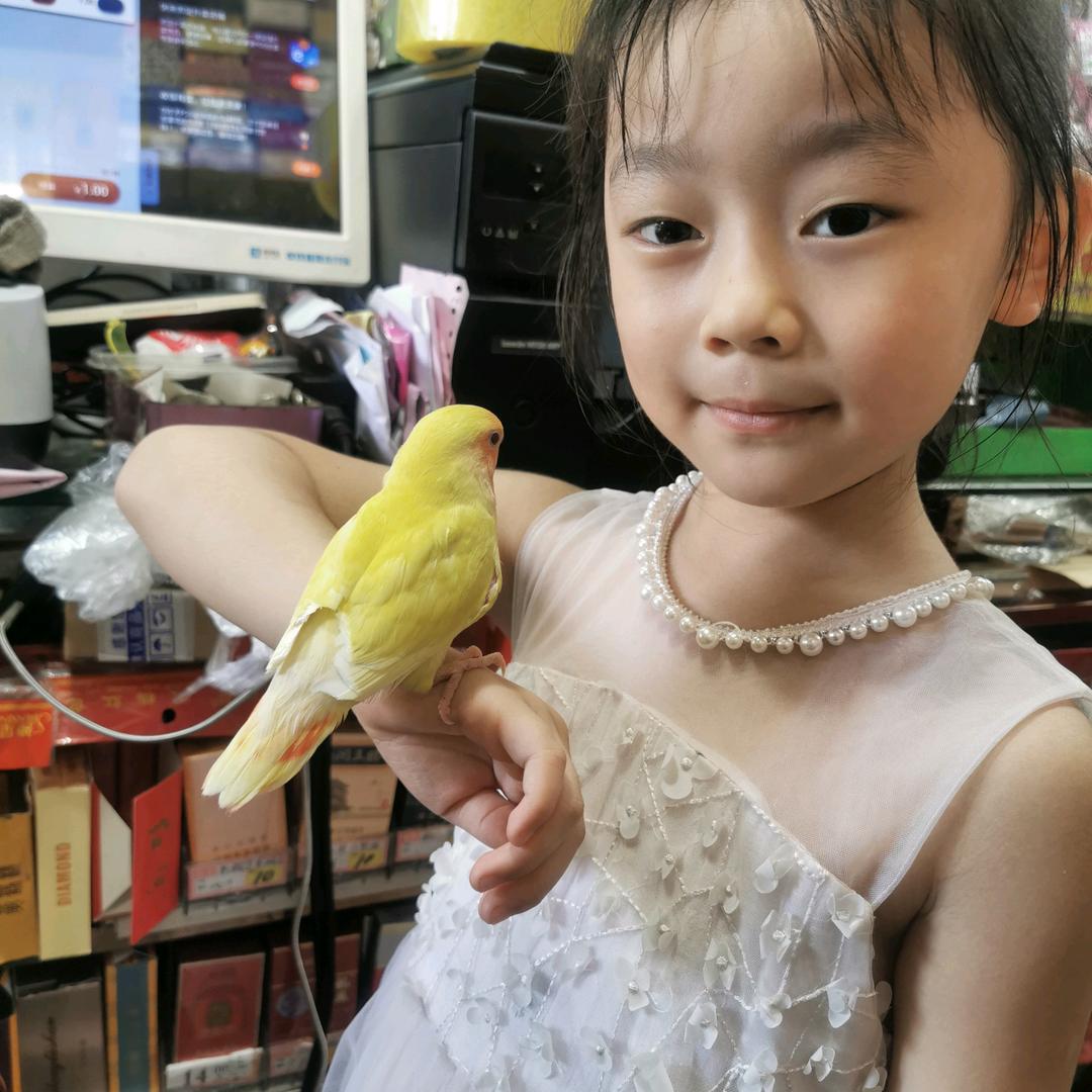 云朵