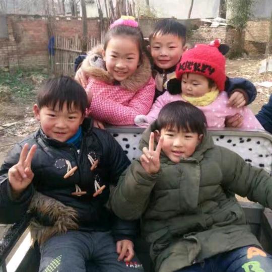 杨红先（蔬菜十散养鸡）