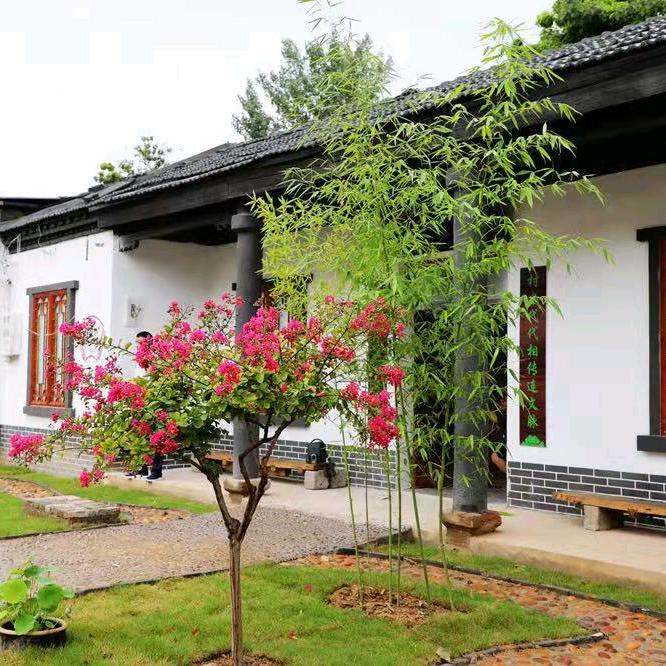 北关区柏庄镇北花村永芳