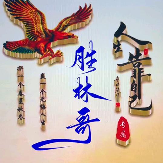 胜林哥（南阳）