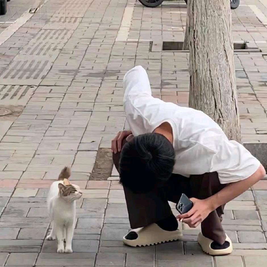 心。