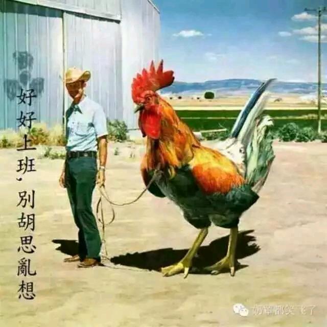月亮是我弄弯的