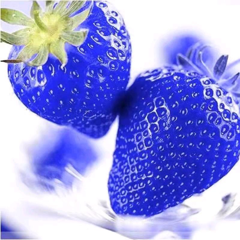 田园生活