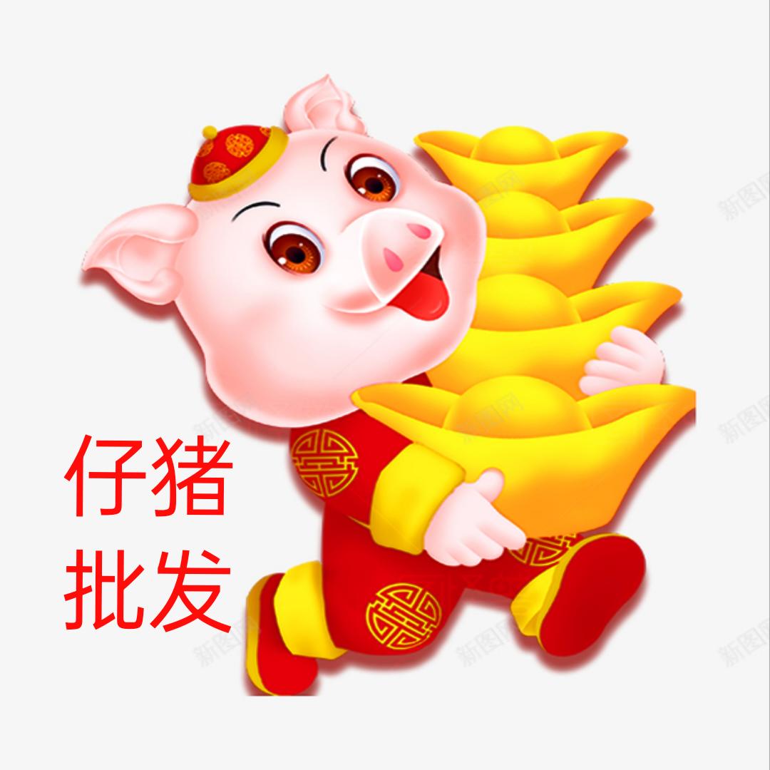 山东东盛仔猪