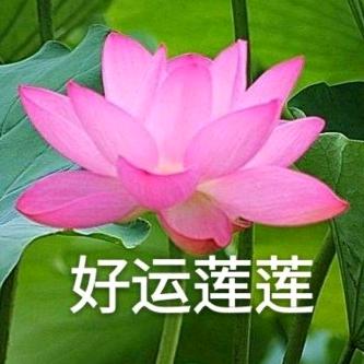 💍️💍️🌺️知足常乐🌻️🌻️