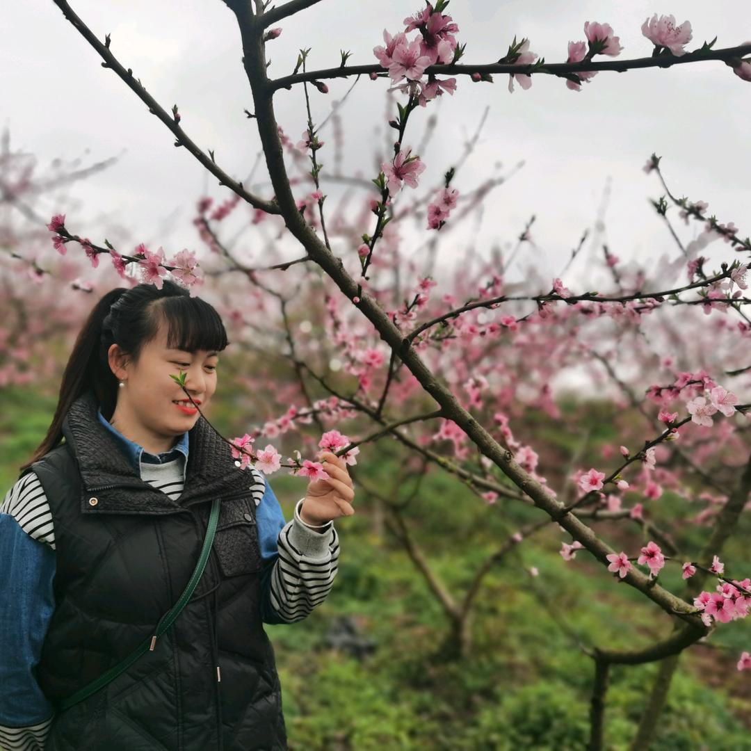 丽伶