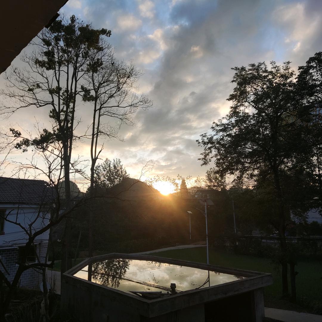 春风随我作狮子鸣