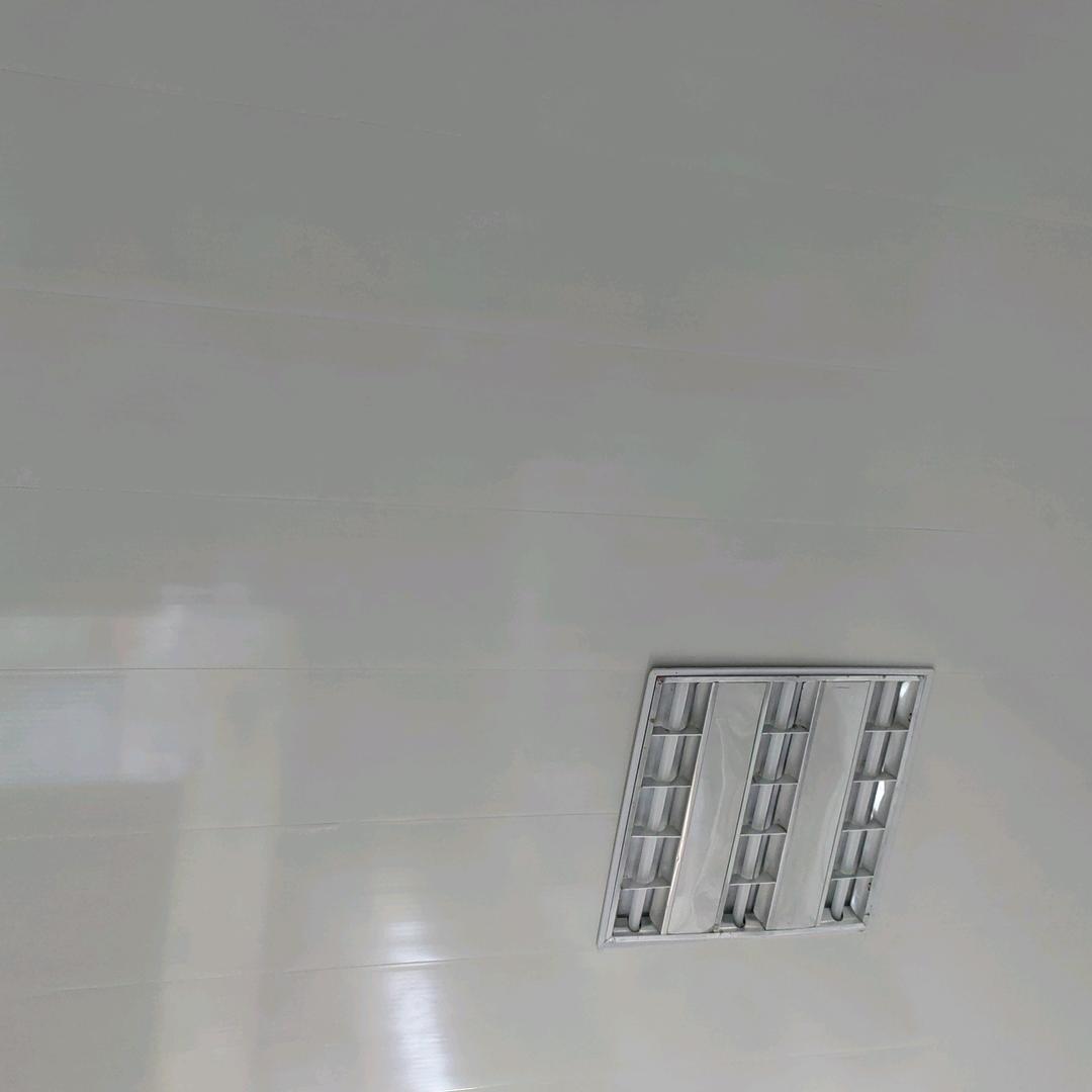 东东