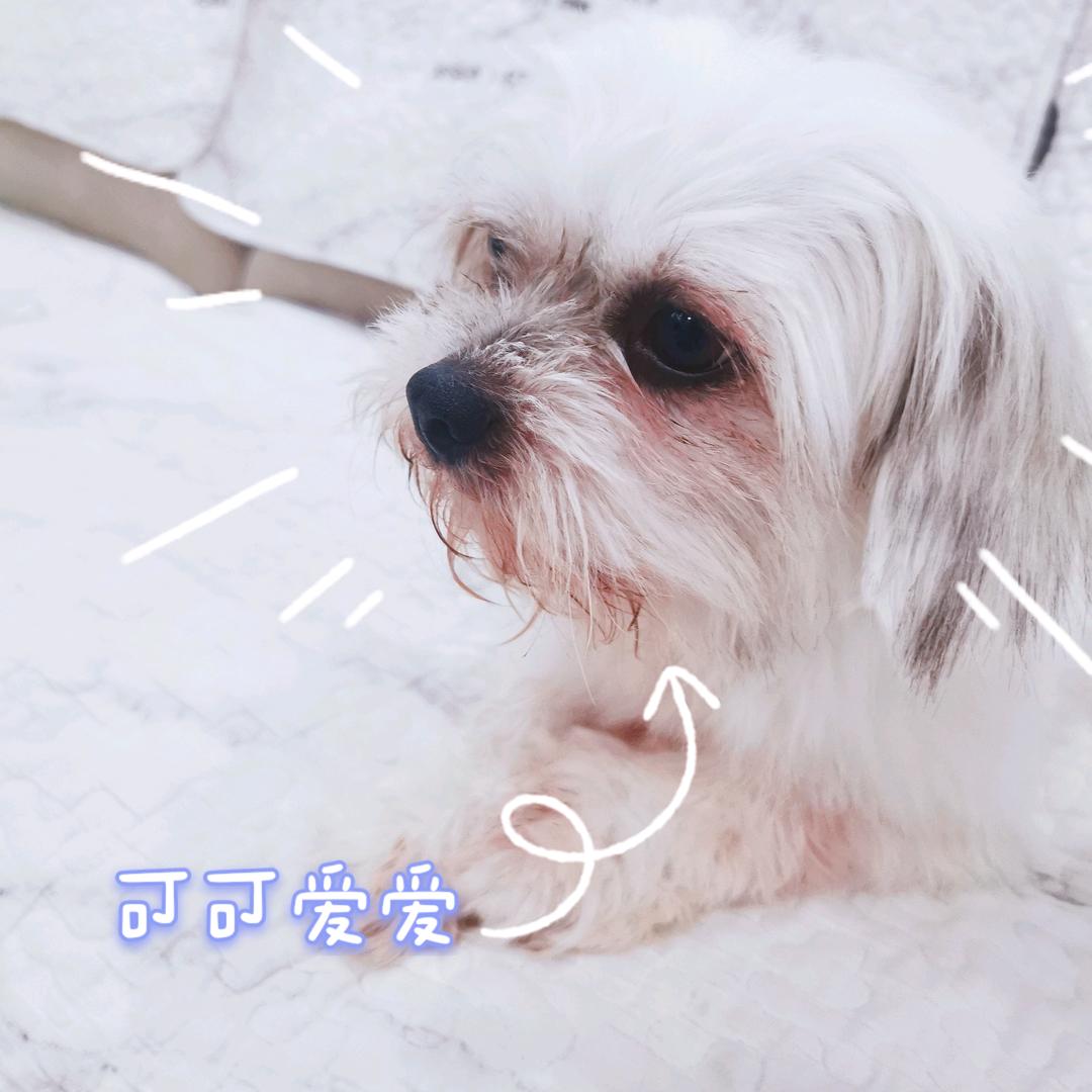 三月爱吃饭