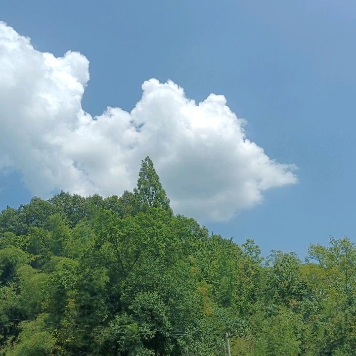 酷爱天空