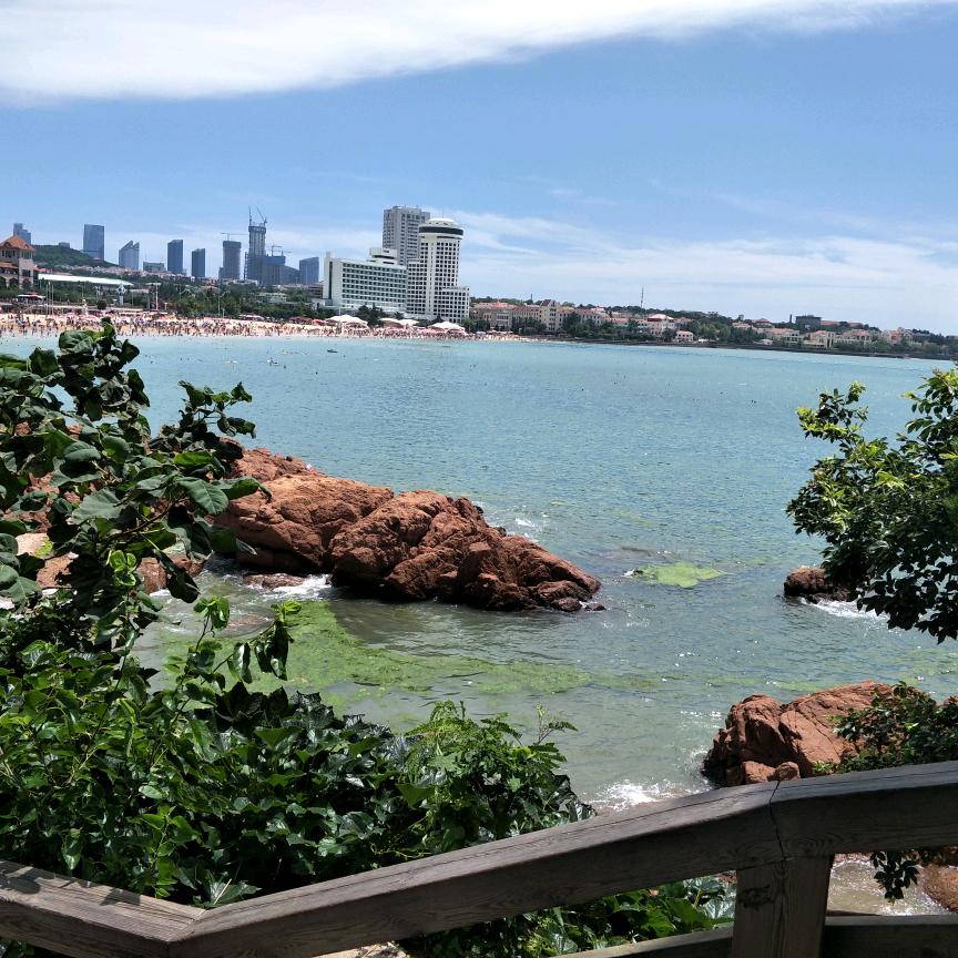 老墨，我想吃鱼了