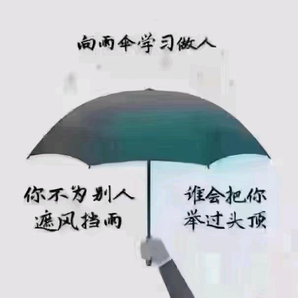 嬿归来