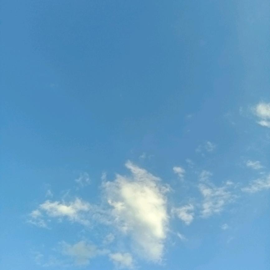 理想人生