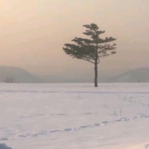 源远流长