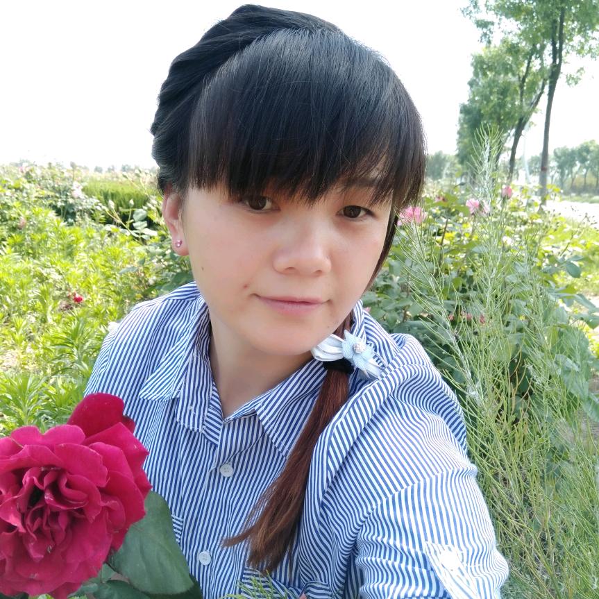 加油蒲公英