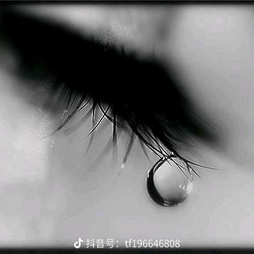 🌹重新开始🌹