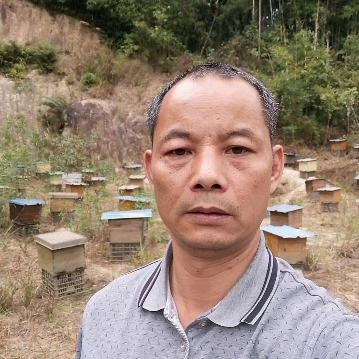 热带飞翔