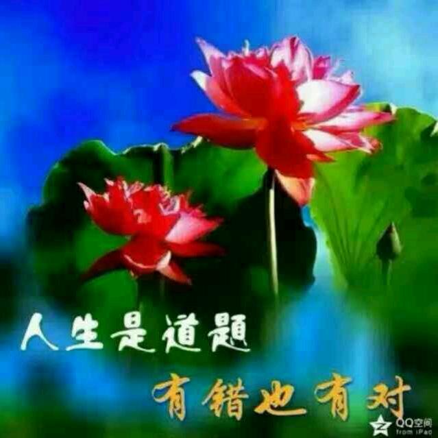 珍惜328