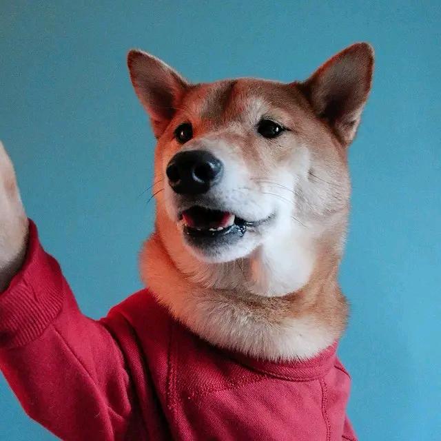 右吟