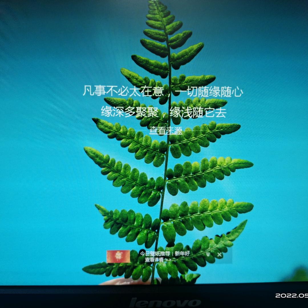 千里孤狼