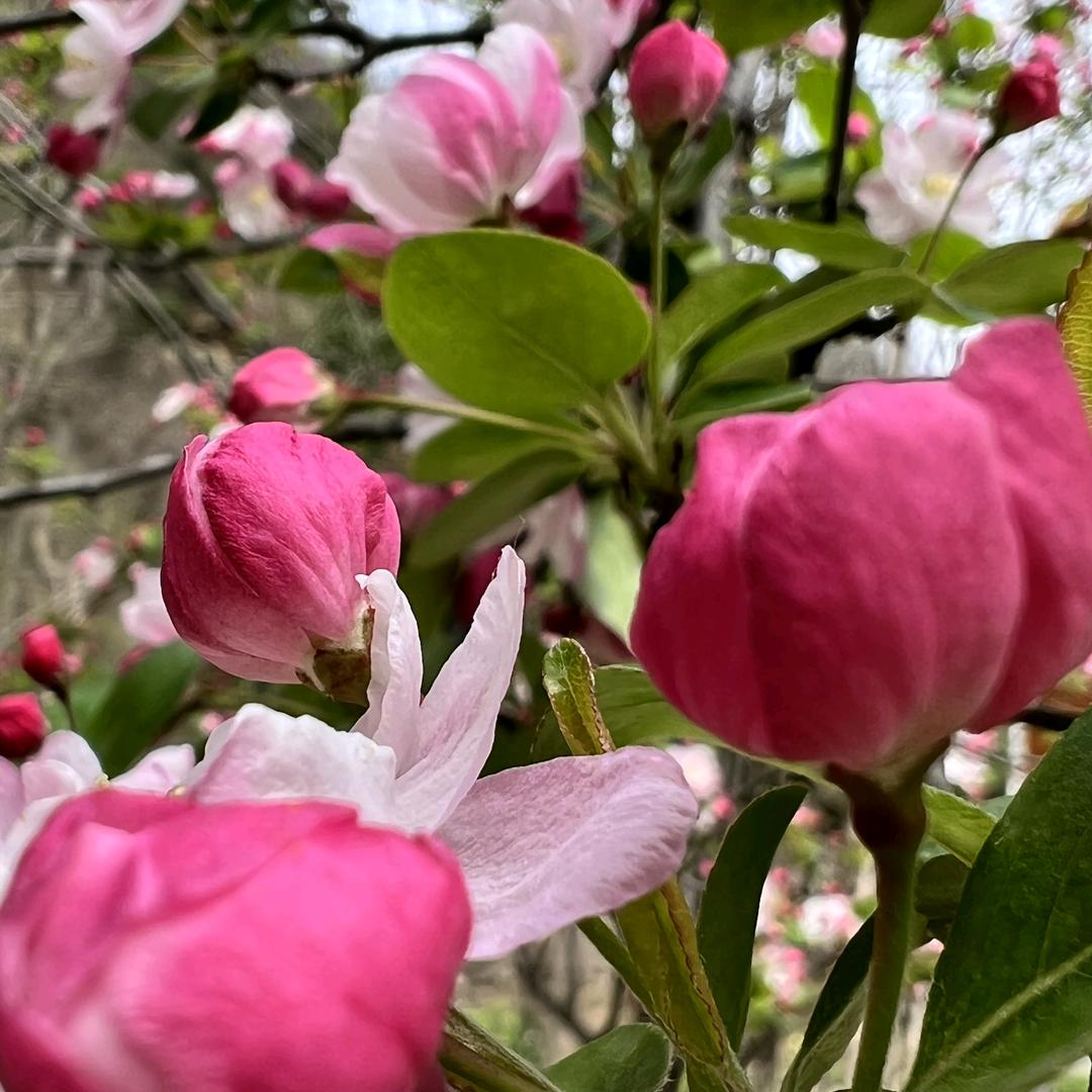 ᕙ(`▿´)ᕗ相遇是缘ᕙ(`▿´)ᕗ