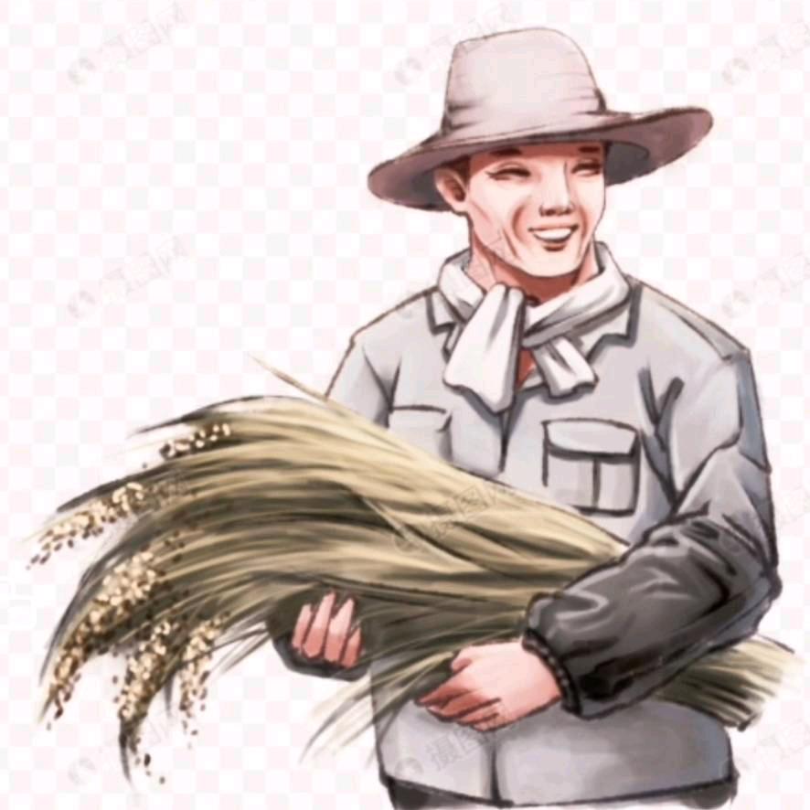 植保助农小金