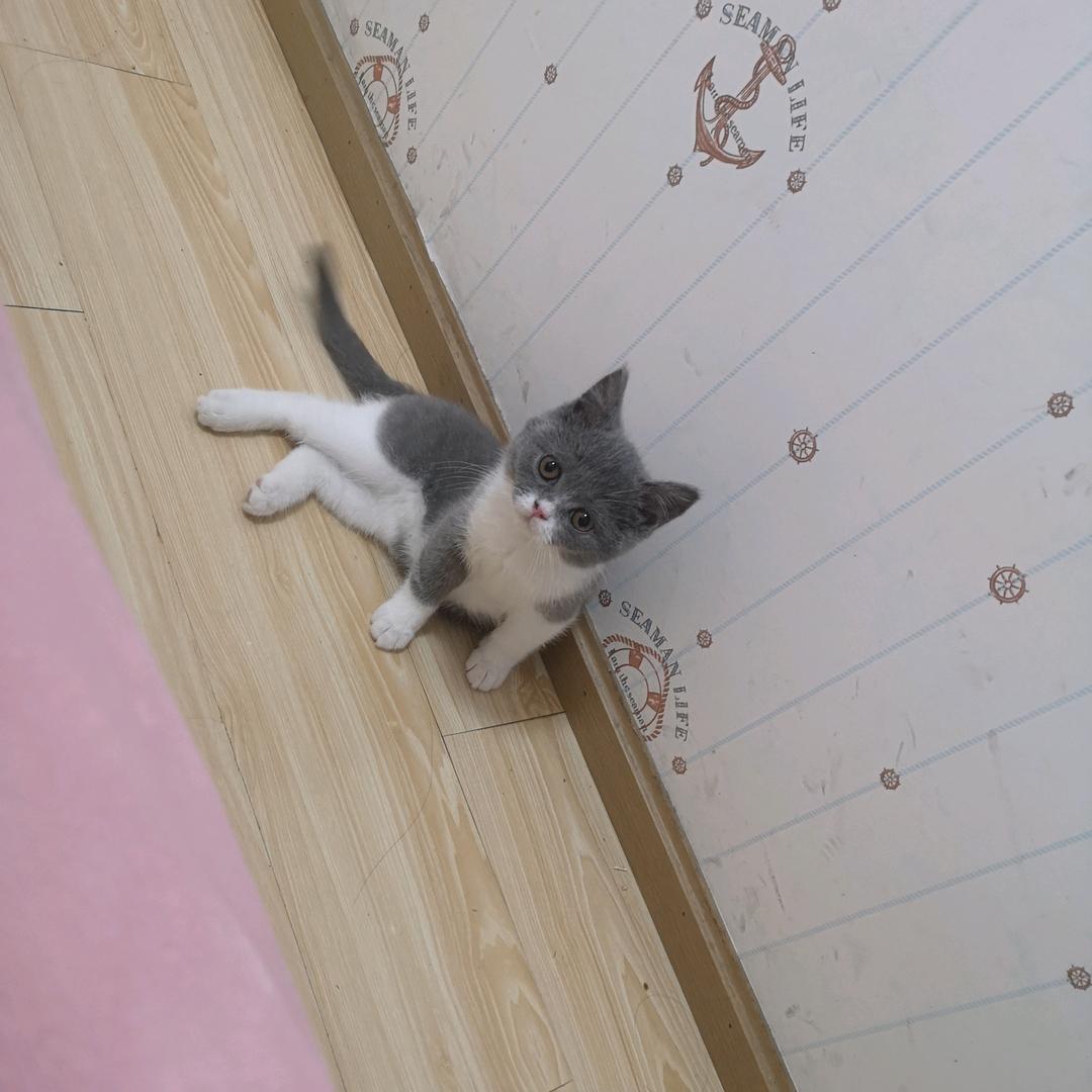 化妆造型师琪琪