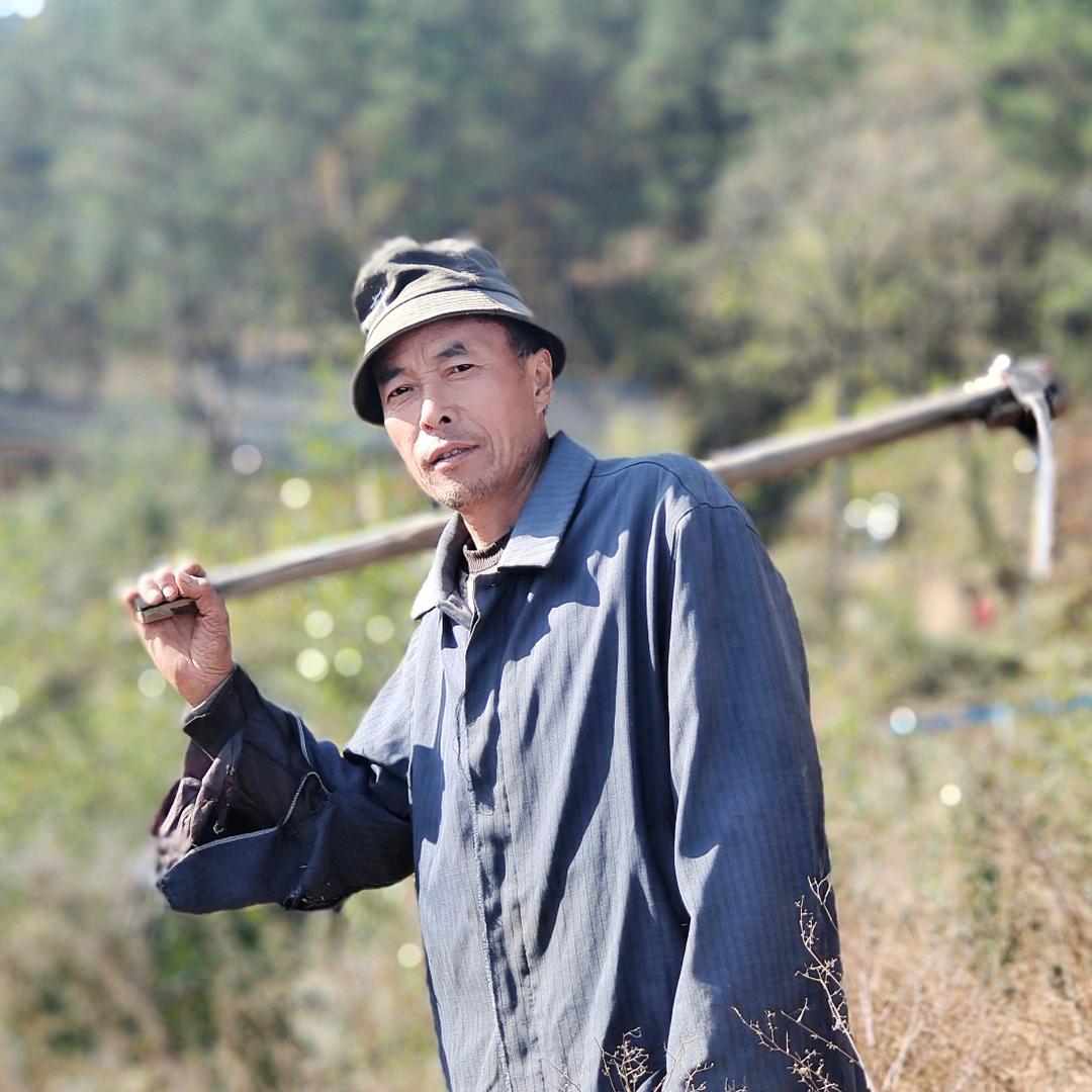 茶山七大爷