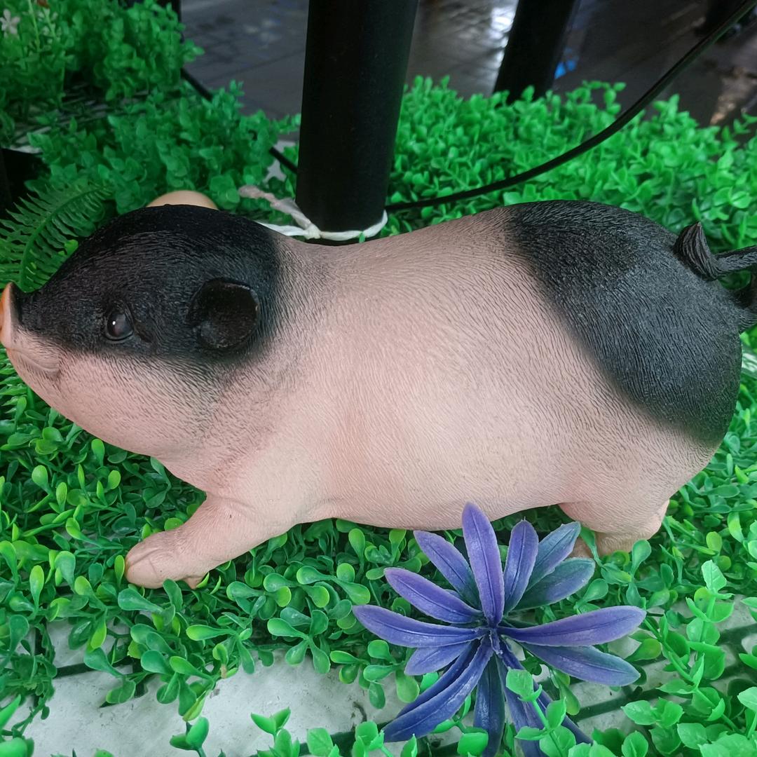 与世无争二师兄