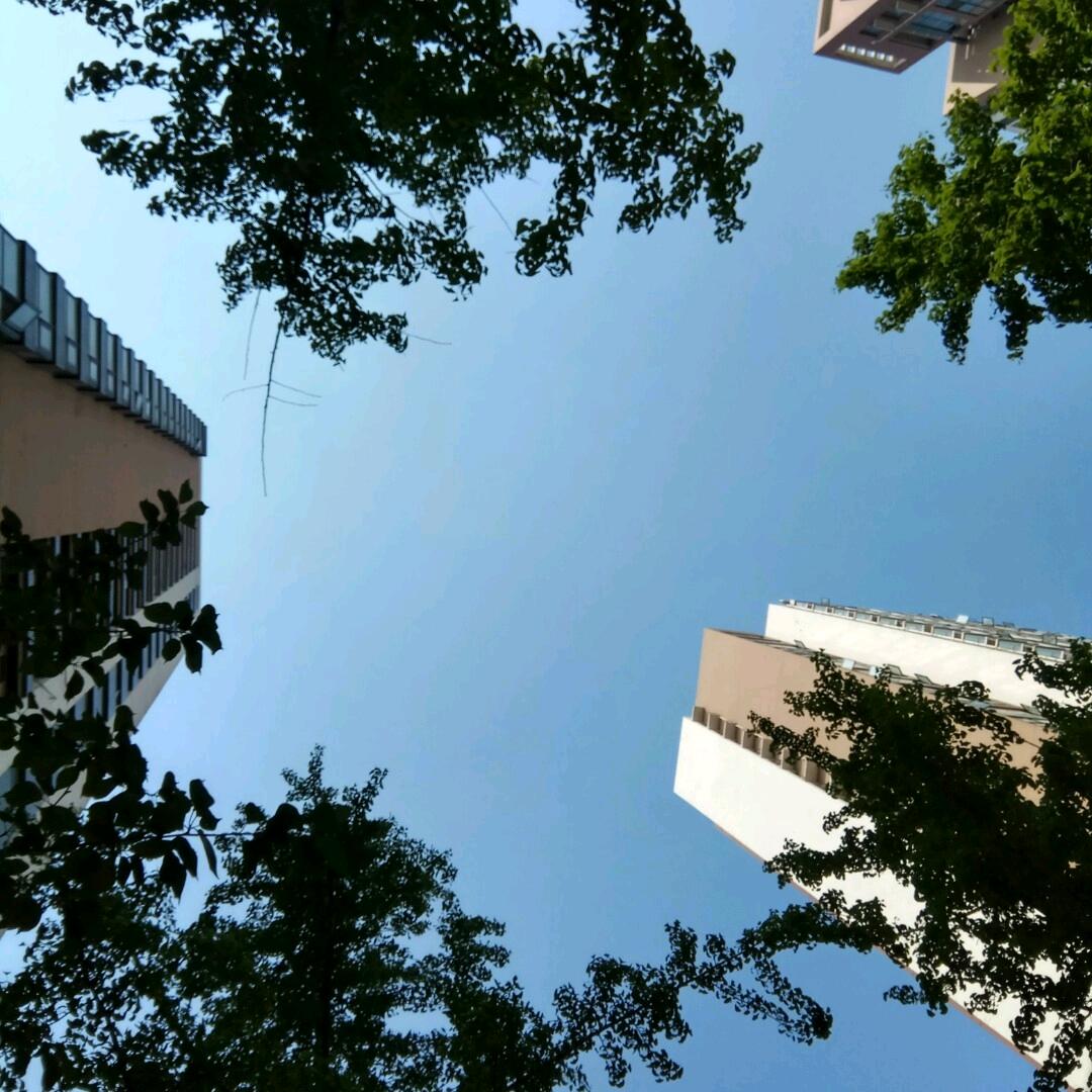 老铁户外vlog