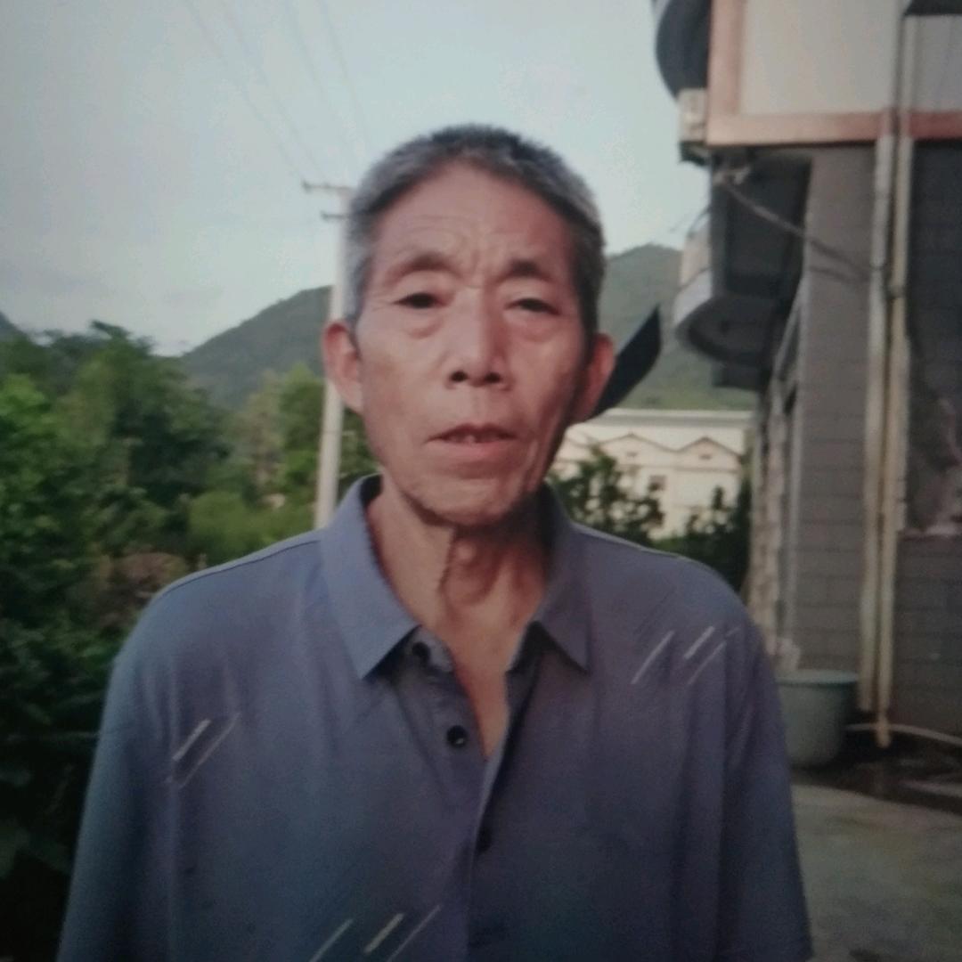 杨光发😲