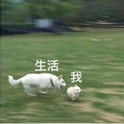 小喷喷（涂装设备）