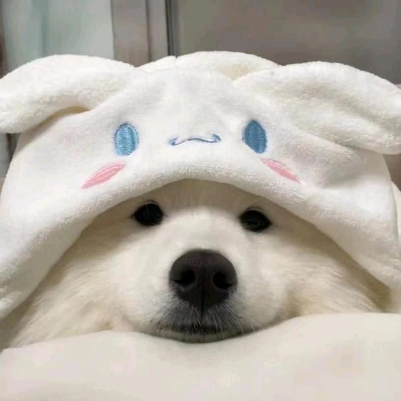 大哥最美.