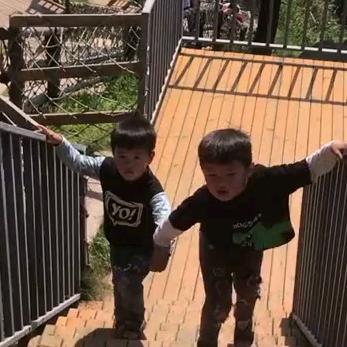 小柯