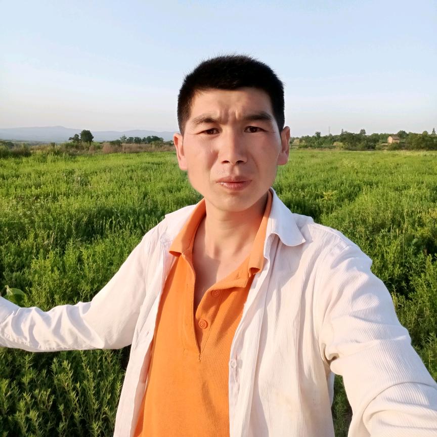 农民中药材种籽苗子种植购销策划机戒服务