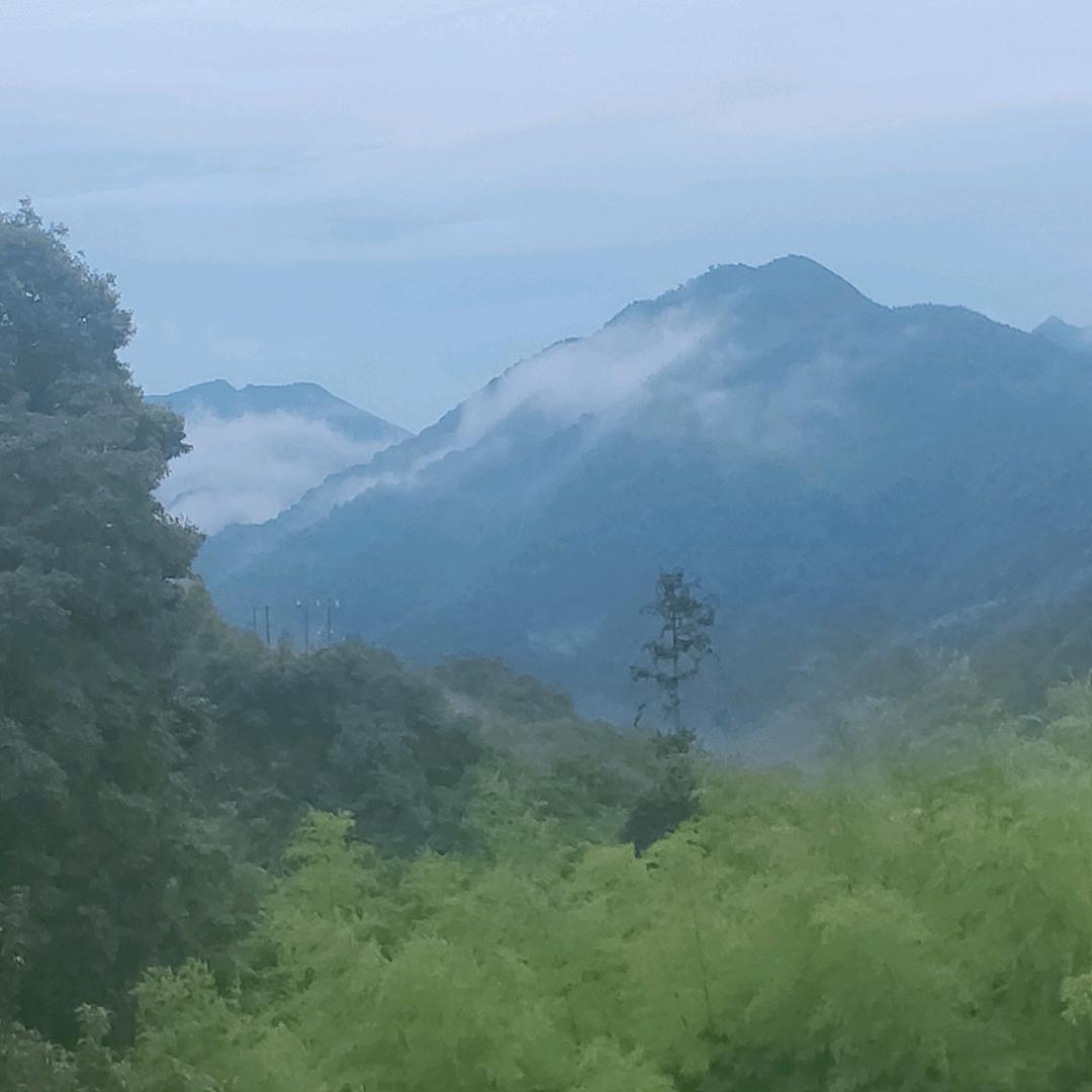 珍惜缘分