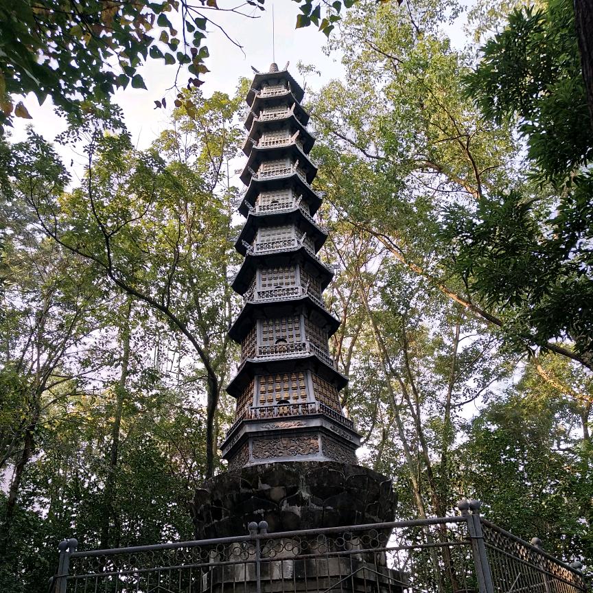 冬季飞学